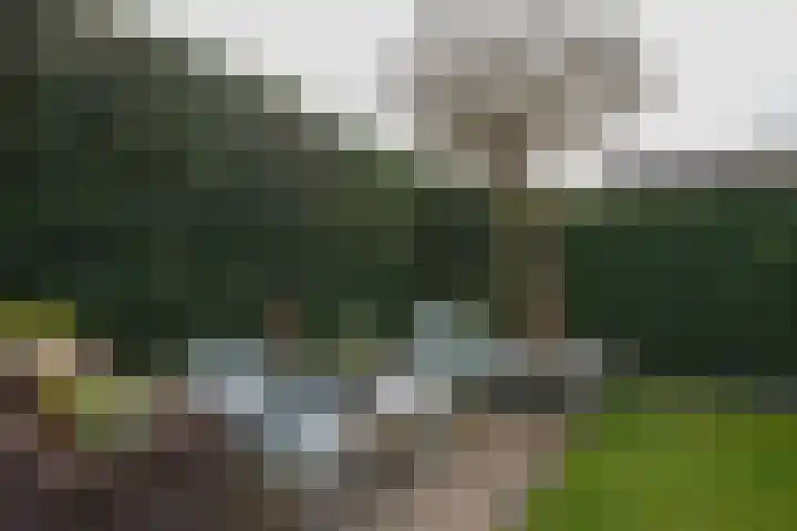 Jacques Lebel 33 Eijsden thumbnail 47