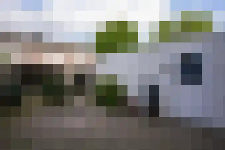 Jacques Lebel 6 Eijsden thumbnail 18