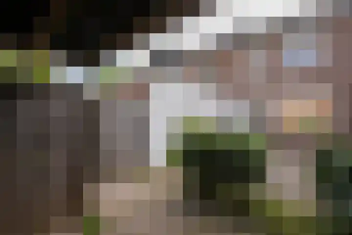 Jacques Lebel 6 Eijsden thumbnail 21