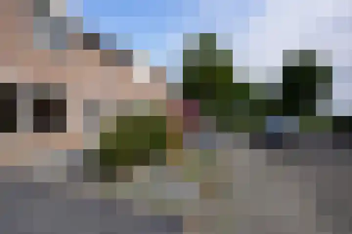 Jacques Lebel 6 Eijsden thumbnail 24