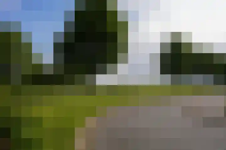 Jacques Lebel 6 Eijsden thumbnail 25