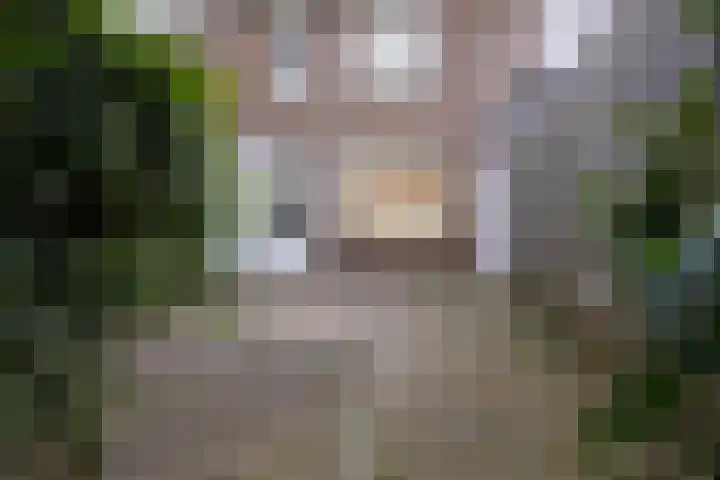 Jacques Lebel 6 Eijsden thumbnail 4
