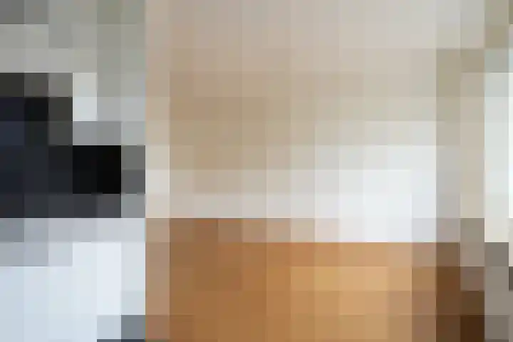 Jacques Lebel 6 Eijsden thumbnail 9