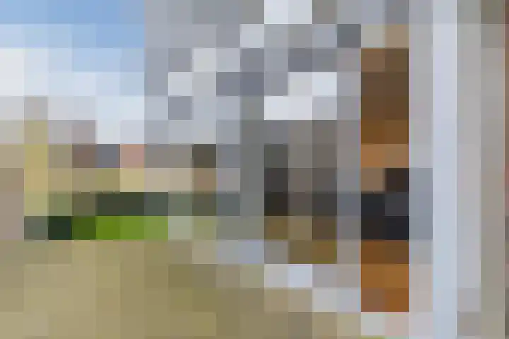 Jacques Offenbachplantsoen 20 Utrecht thumbnail 22