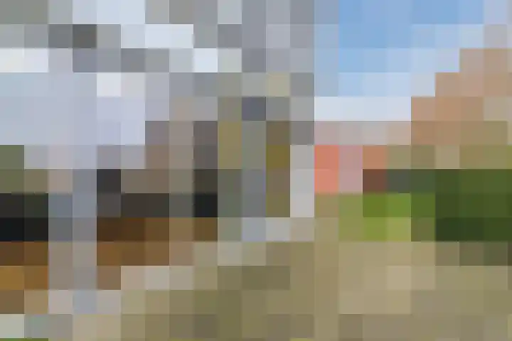 Jacques Offenbachplantsoen 20 Utrecht thumbnail 27