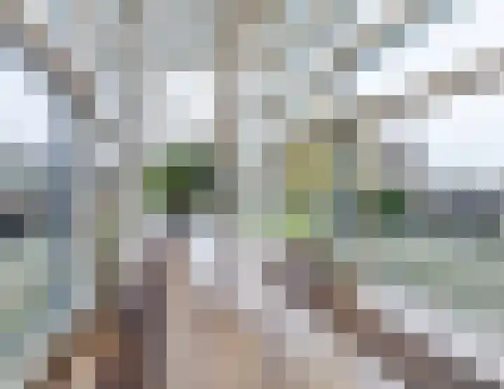 Jacques Offenbachplantsoen 20 Utrecht thumbnail 28