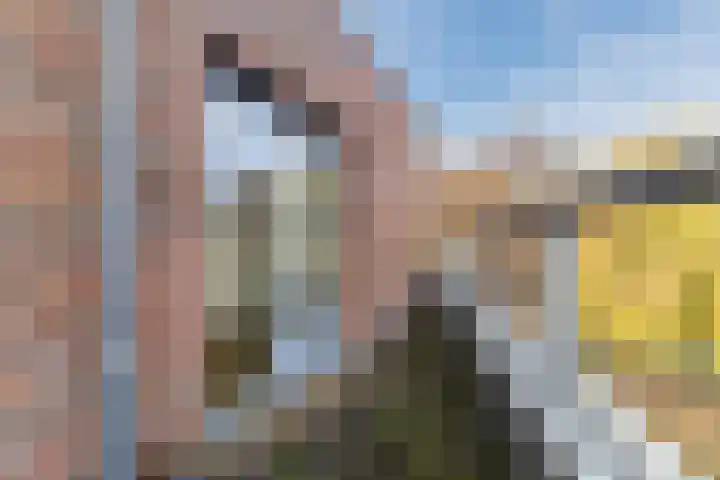 Jacques Offenbachplantsoen 20 Utrecht thumbnail 42