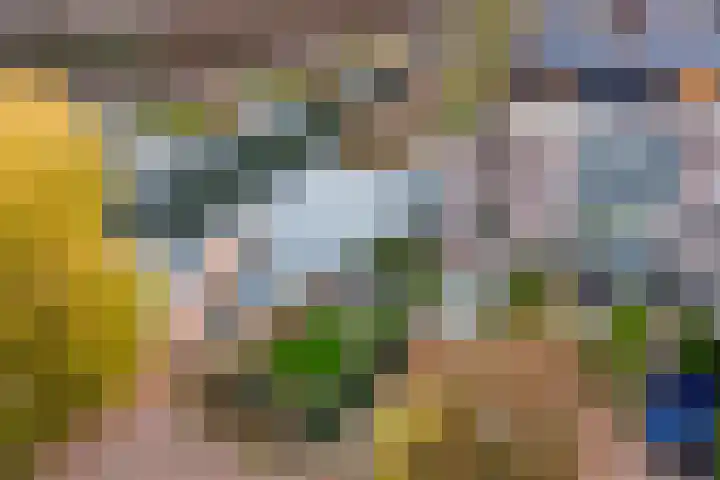 Jacques Offenbachplantsoen 20 Utrecht thumbnail 59