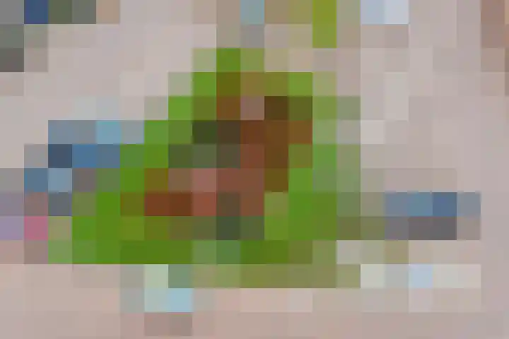 Jacques Offenbachplantsoen 20 Utrecht thumbnail 67