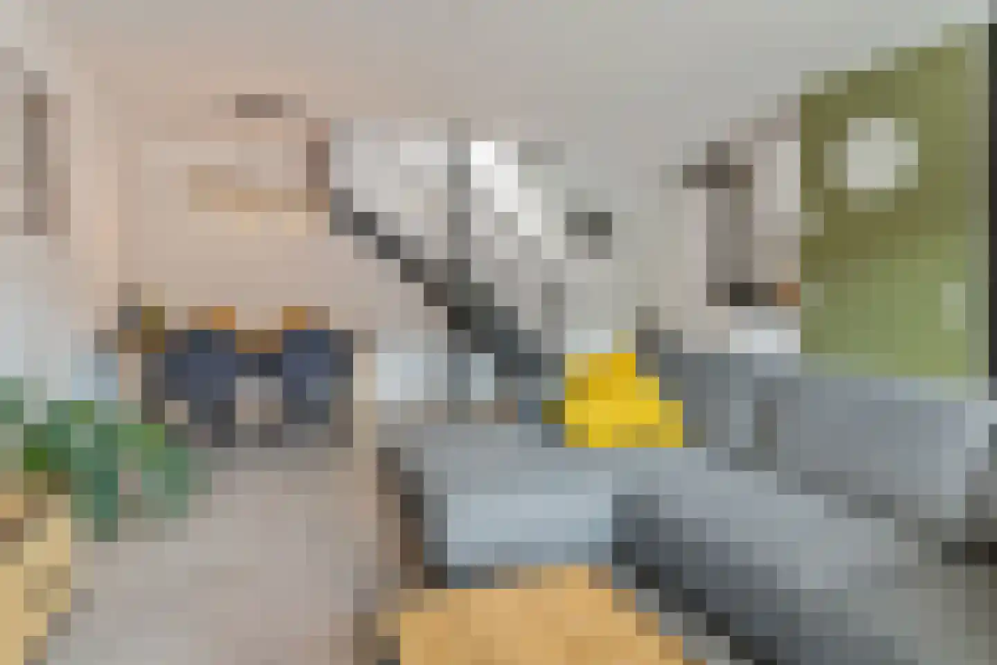 Jacques Offenbachplantsoen 33 Utrecht thumbnail 7