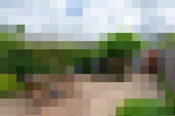 Jacques Offenbachplantsoen 35 Utrecht thumbnail 15