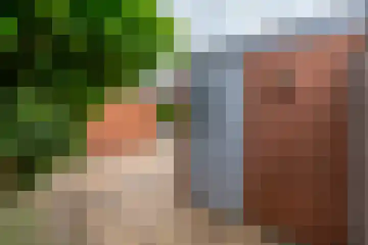Jacques Offenbachplantsoen 35 Utrecht thumbnail 20