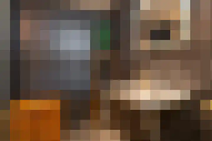 Jacques Offenbachplantsoen 35 Utrecht thumbnail 30