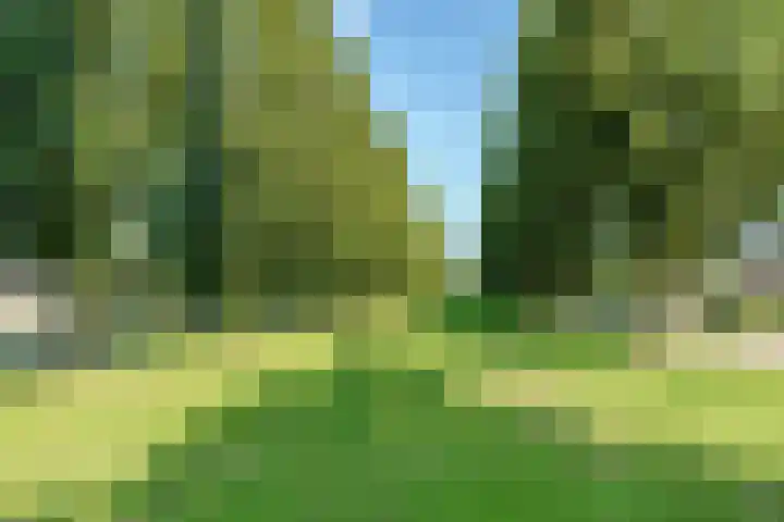 Jacques Offenbachplantsoen 35 Utrecht thumbnail 39