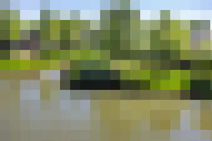 Jacques Offenbachplantsoen 46 B Utrecht thumbnail 24