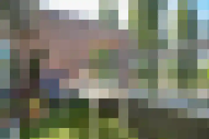 Jacques Offenbachplantsoen 46 B Utrecht thumbnail 33