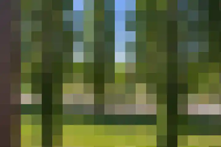 Jacques Offenbachplantsoen 46 B Utrecht thumbnail 35