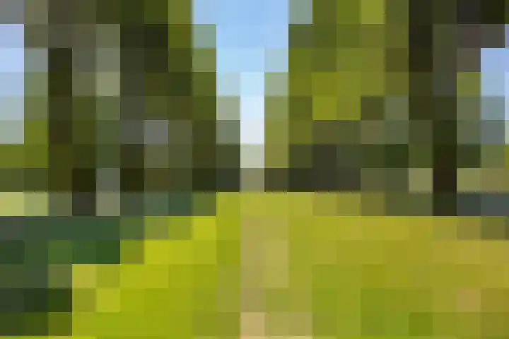 Jacques Offenbachplantsoen 46 B Utrecht thumbnail 36
