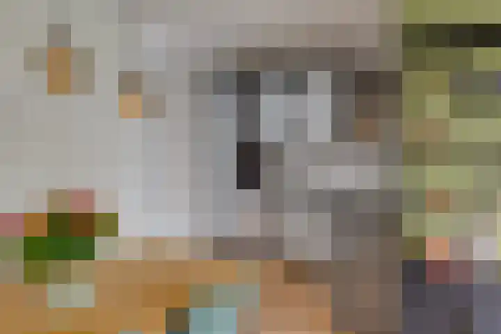 Jacques Offenbachplantsoen 9 Utrecht thumbnail 11