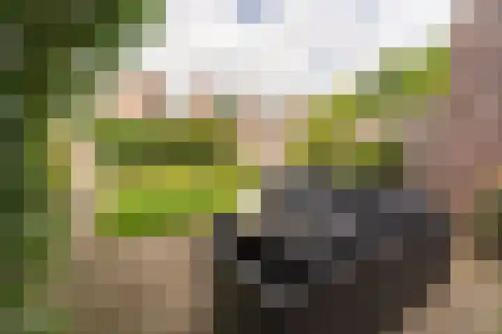 Jacques Offenbachplantsoen 9 Utrecht thumbnail 21