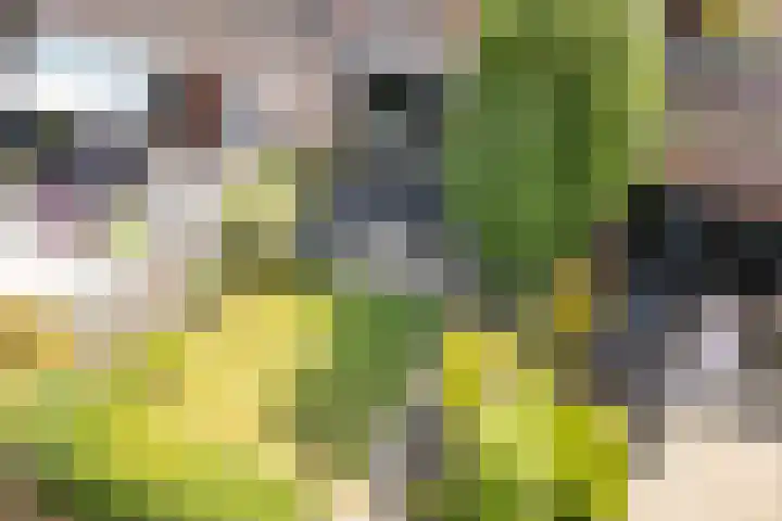 Jacques Offenbachplantsoen 9 Utrecht thumbnail 23
