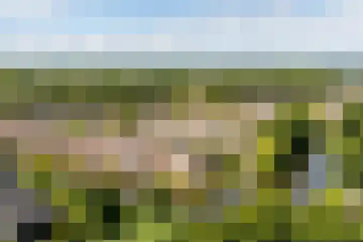 Jacques Offenbachplantsoen 9 Utrecht thumbnail 24