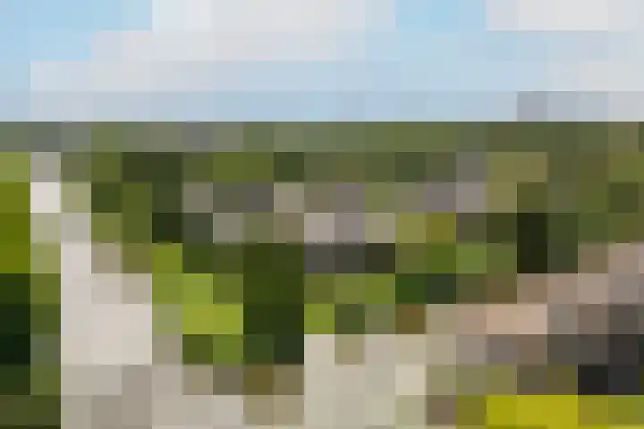 Jacques Offenbachplantsoen 9 Utrecht thumbnail 25