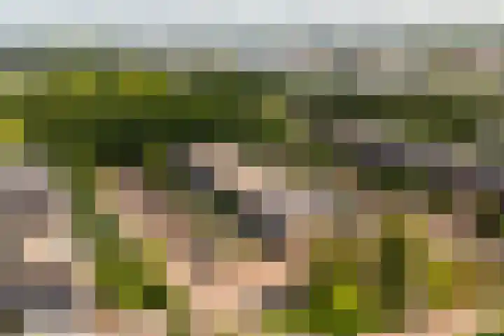 Jacques Offenbachplantsoen 9 Utrecht thumbnail 26