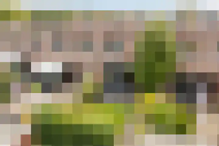 Jacques Offenbachplantsoen 9 Utrecht thumbnail 4