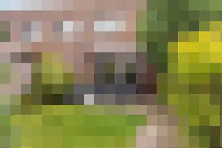 Jacques Offenbachplantsoen 9 Utrecht thumbnail 5