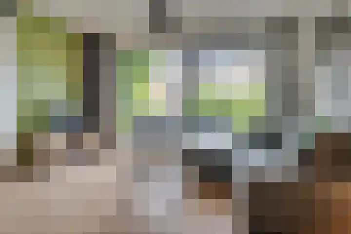 Jacques Offenbachplantsoen 9 Utrecht thumbnail 7