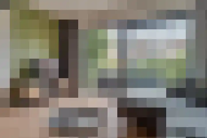 Jacques Offenbachplantsoen 9 Utrecht thumbnail 8
