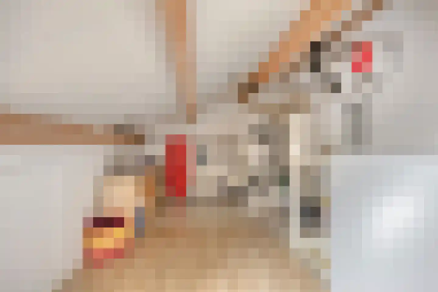 Jacques Perklaan 22 Vlijmen thumbnail 26