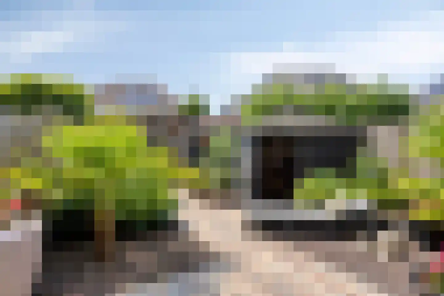 Jacques Perklaan 22 Vlijmen thumbnail 32