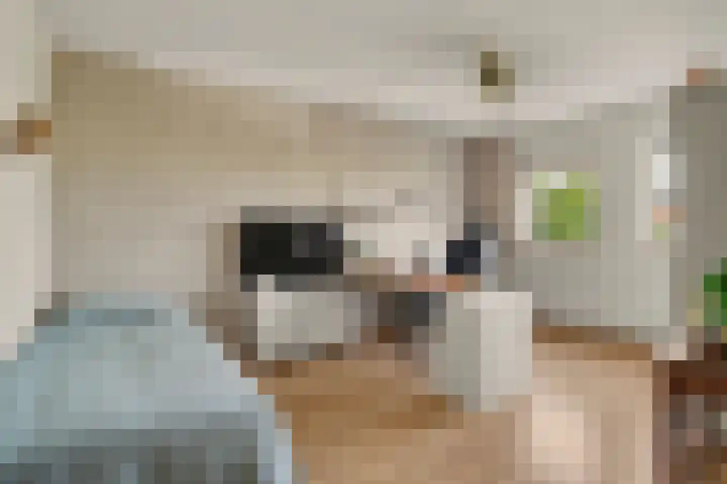 Jacques Perklaan 25 Vlijmen thumbnail 19