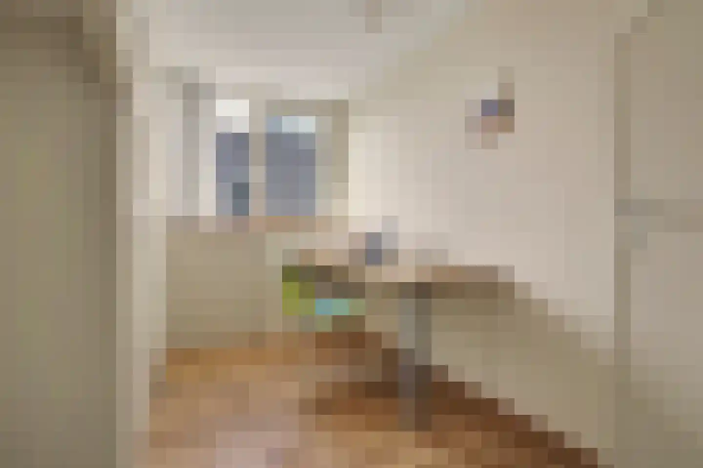 Jacques Perklaan 25 Vlijmen thumbnail 28