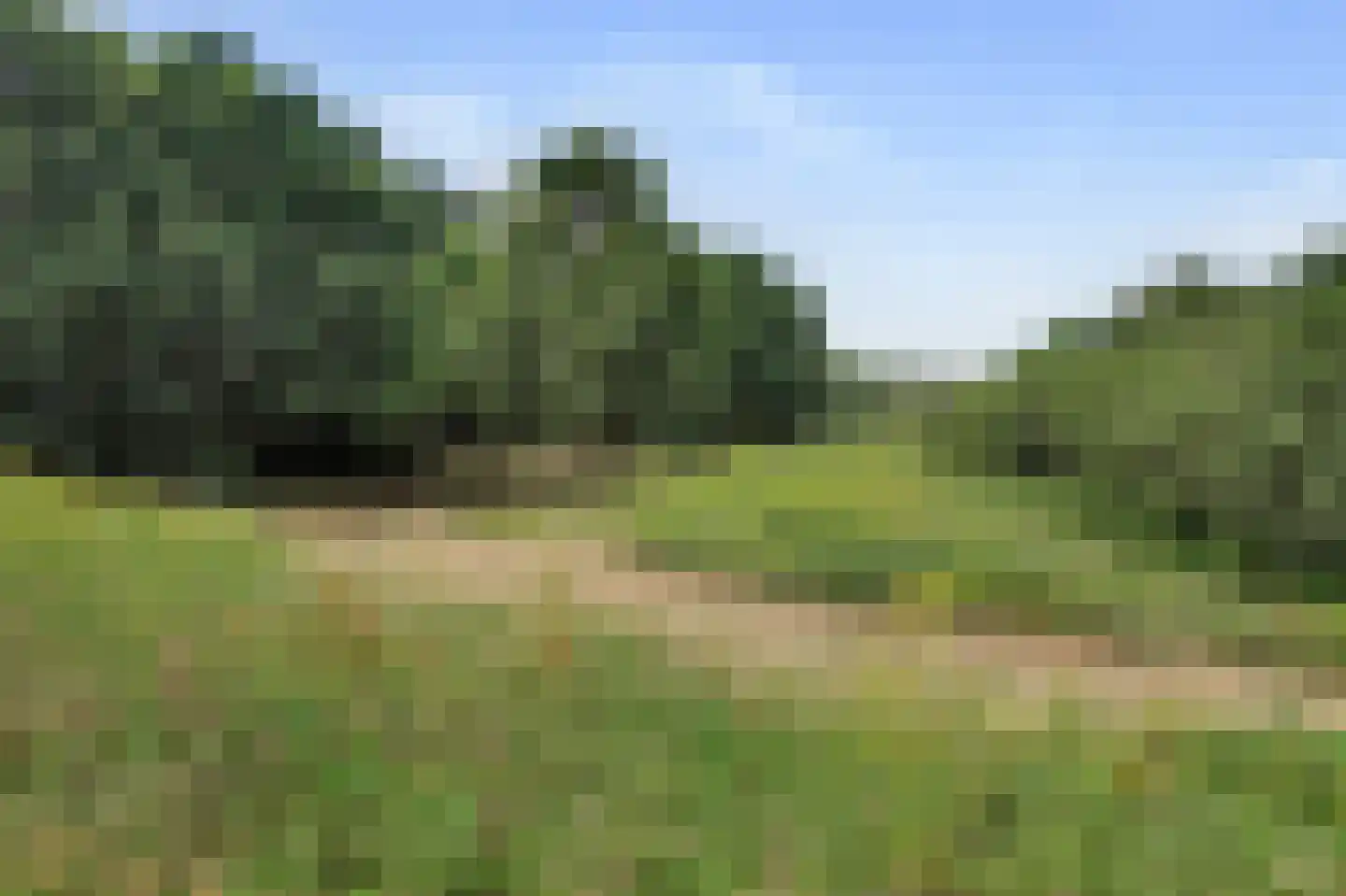 Jacques Perklaan 25 Vlijmen thumbnail 42