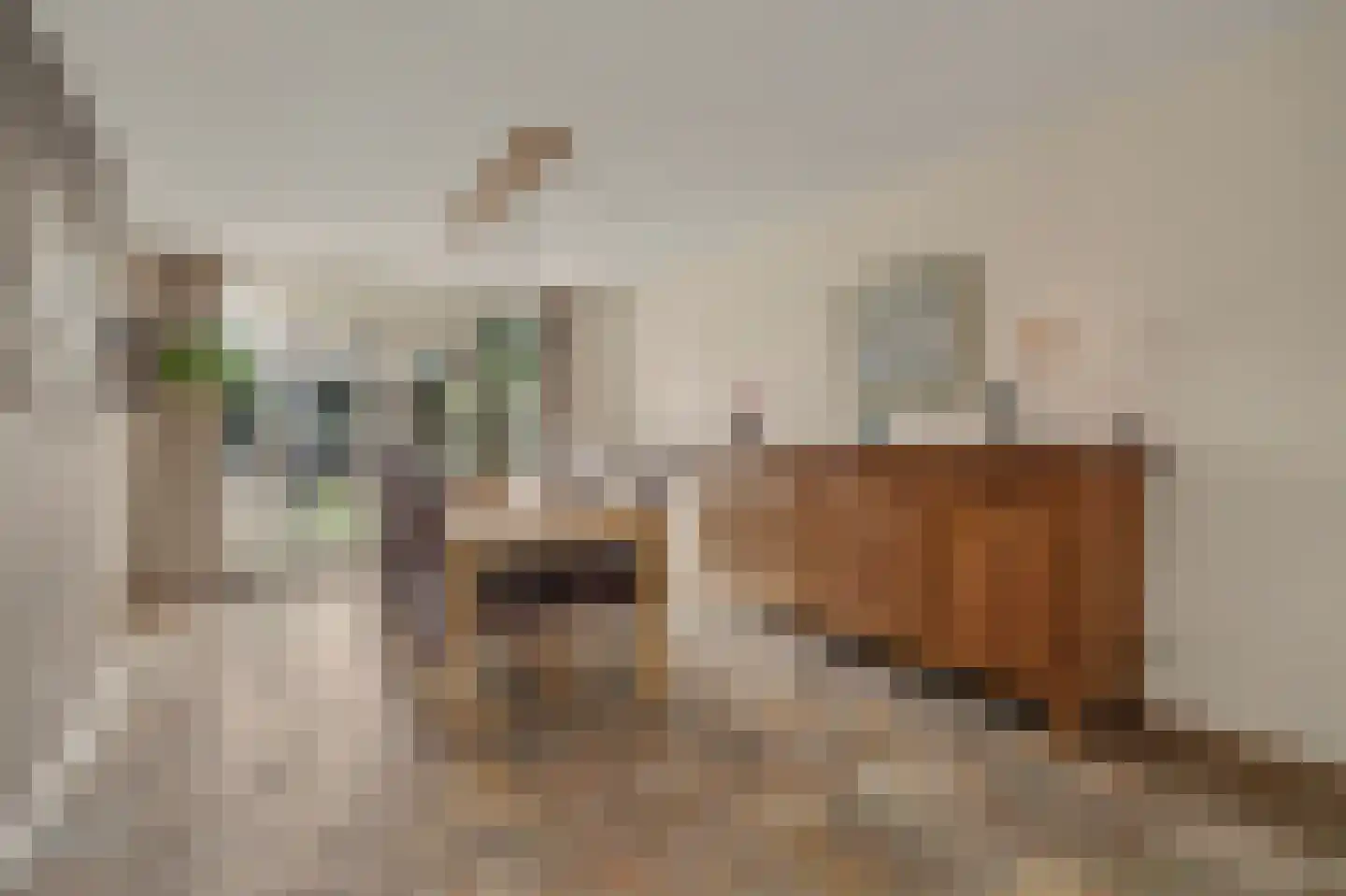 Jacques Perklaan 25 Vlijmen thumbnail 5