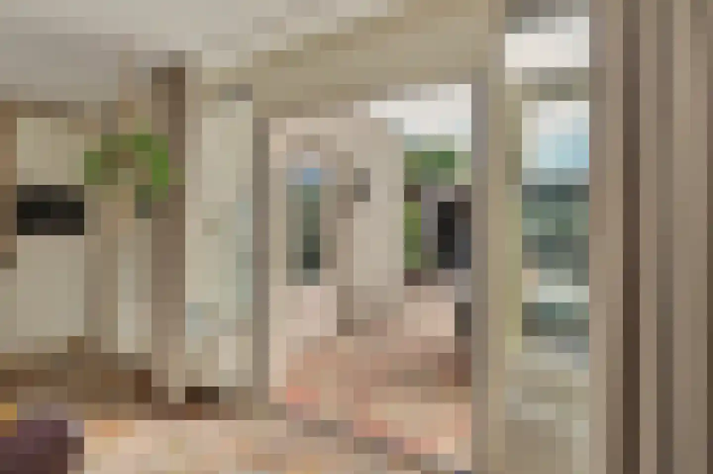 Jacques Perklaan 25 Vlijmen thumbnail 7