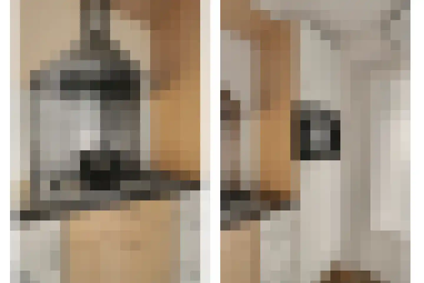 Jacques Perklaan 25 Vlijmen thumbnail 9