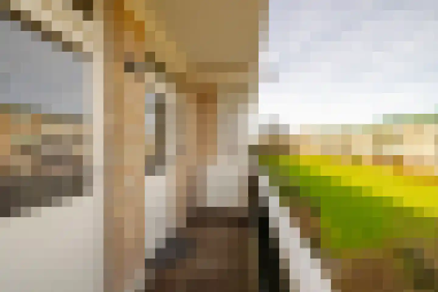 Jacques Perklaan 26 Haarlem thumbnail 22