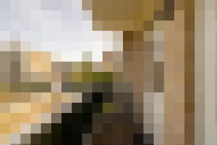Jacques Perklaan 26 Haarlem thumbnail 24