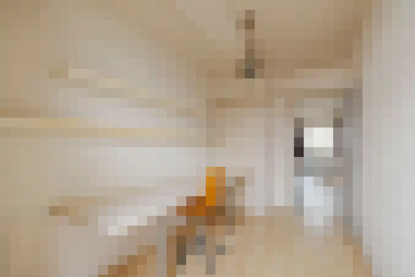 Jacques Perklaan 26 Haarlem thumbnail 27