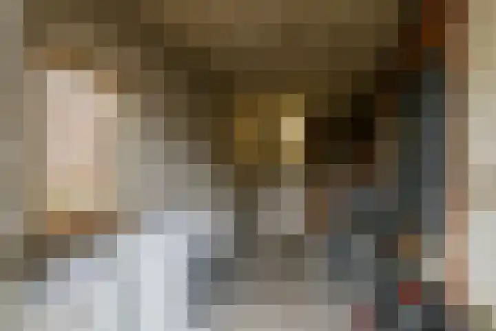 Jacques Perklaan 26 Haarlem thumbnail 34