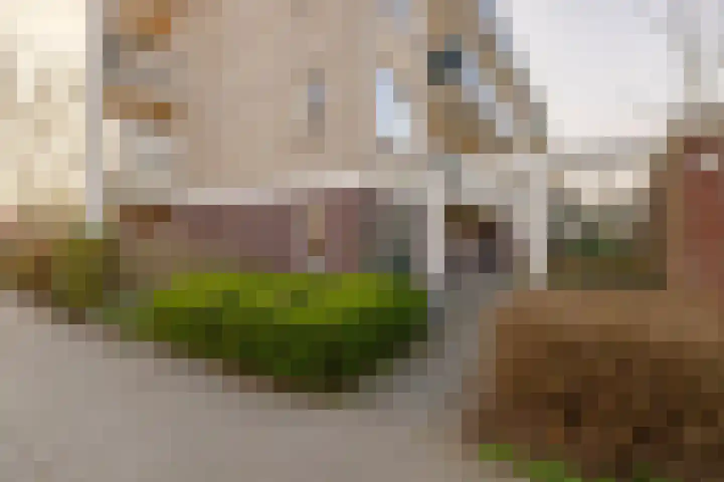 Jacques Perklaan 26 Haarlem thumbnail 36