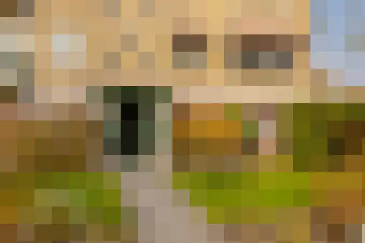 Jacques Perklaan 26 Haarlem thumbnail 6