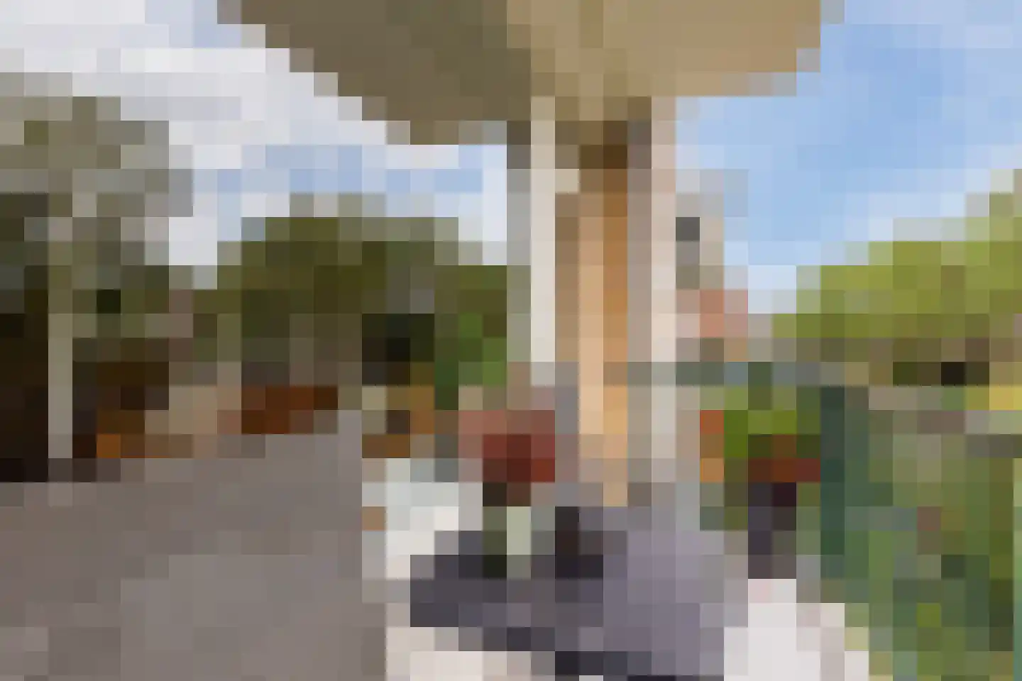 Jacques Perklaan 32 I Haarlem thumbnail 10