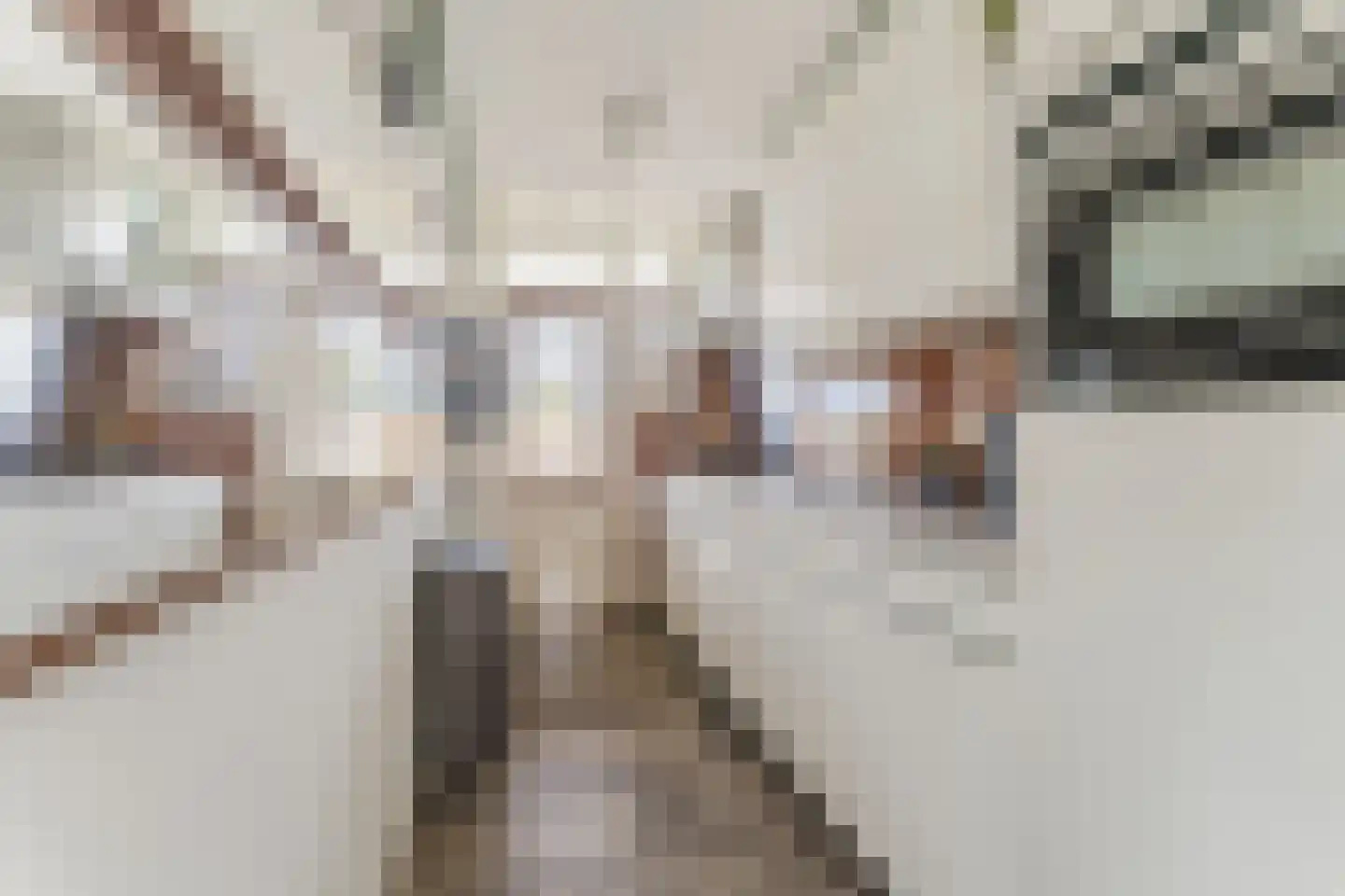 Jacques Perklaan 32 I Haarlem thumbnail 15