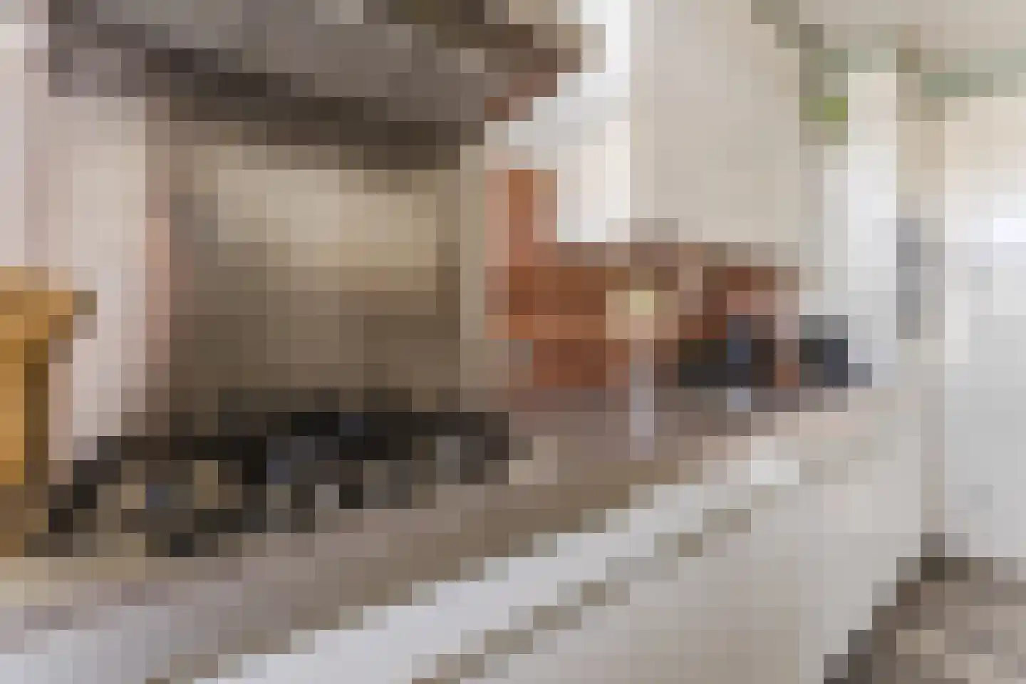 Jacques Perklaan 32 I Haarlem thumbnail 18