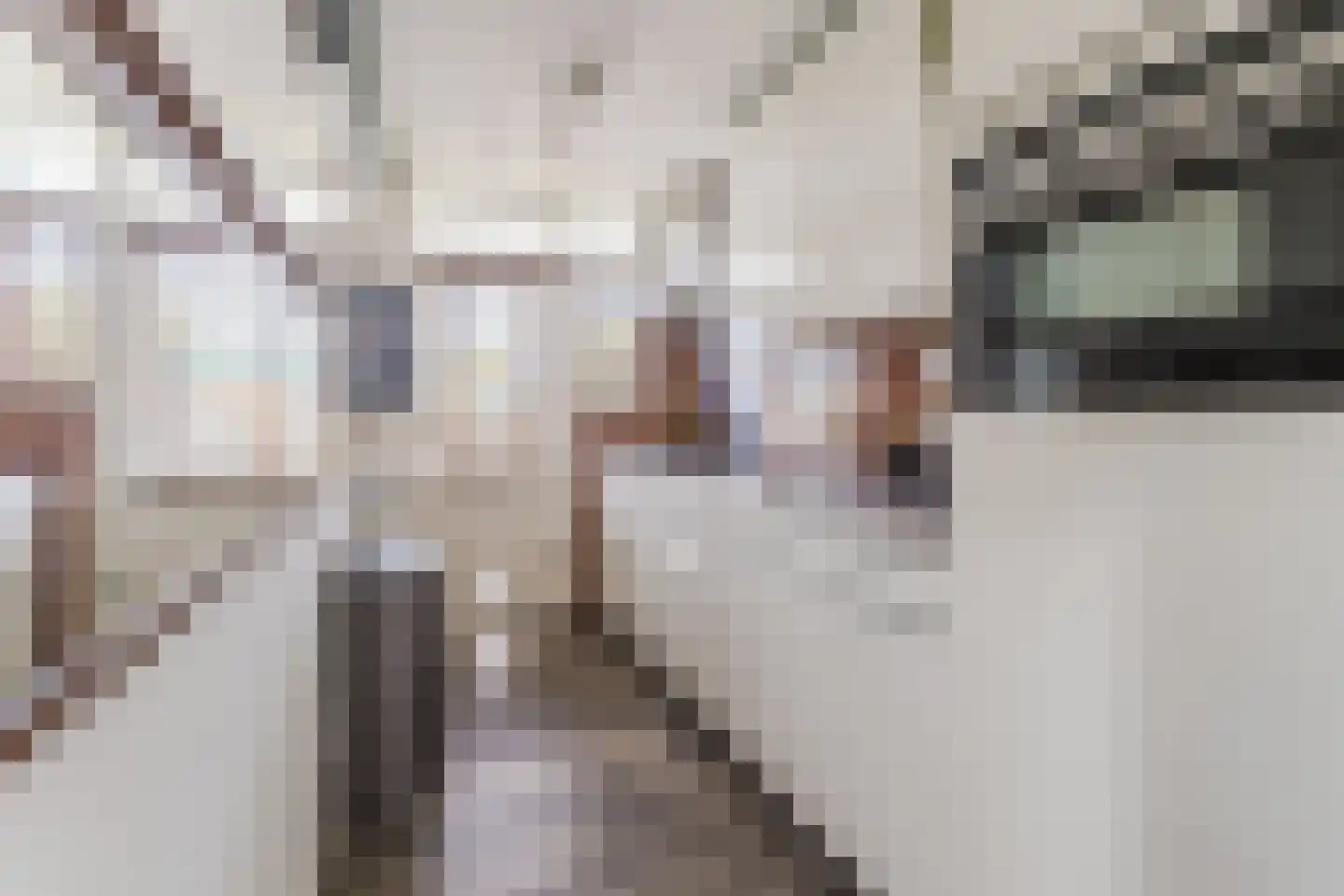 Jacques Perklaan 32 I Haarlem thumbnail 20